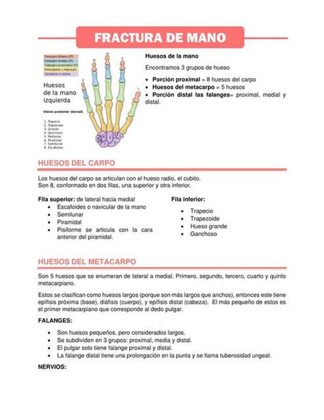 FRACTURA DE MANO Lilibeth Zambrano UDocz