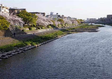 The 10 Best Kamogawa River (Kamo River) Tours & Tickets 2020 - Kyoto | Viator