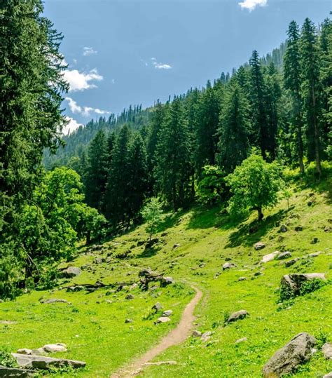 Kheerganga Trek A Complete Travel Guide For Beginners