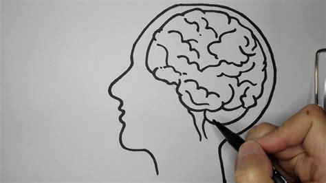 Descubrir más de 74 dibujo cerebro humano última vietkidsiq edu vn