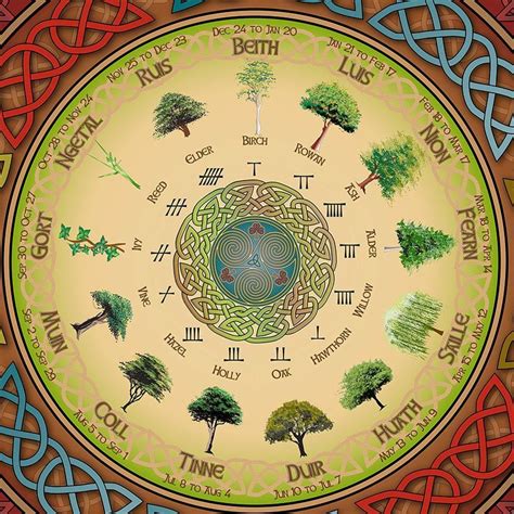 Picture Celtic Tree Astrology Celtic Tree Calendar Celtic Symbols And Meanings