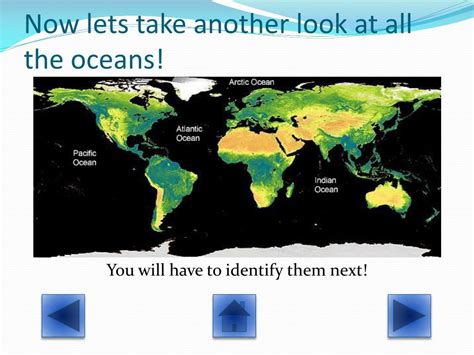 Ppt Zones Of The Ocean Powerpoint Presentation Free Download Id