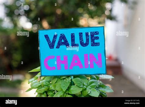 Text Sign Showing Value Chain Business Photo Text Set Of Functional