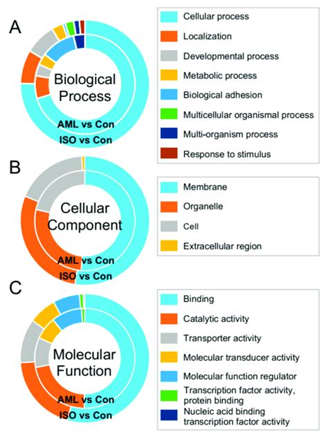 Gene Ontology Go Functional Classification Of Differentially