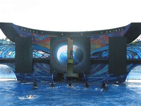 "One Ocean" Killer Whale Show Debut At Seaworld Orlando