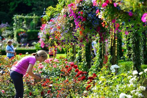 Victoria Gulf Islands Cruise Butchart Gardens Tour From Vancouver