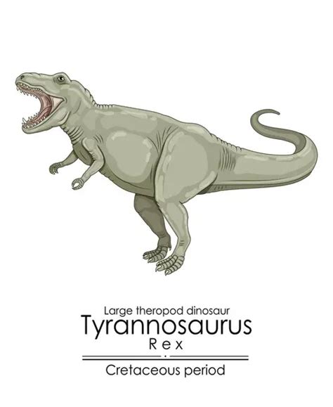 Tyrannosaurus REX un gran dinosaurio terópodo del período Cretácico 2024