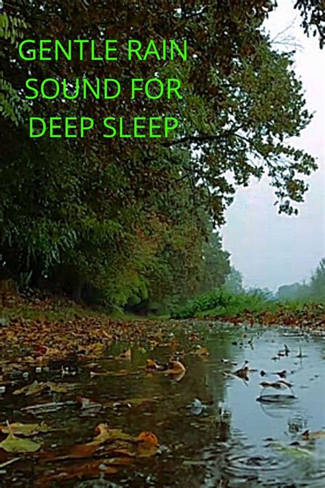 3 Hours Gentle Rain Sound Helps Relax And Fall Asleep Fast Relaxing