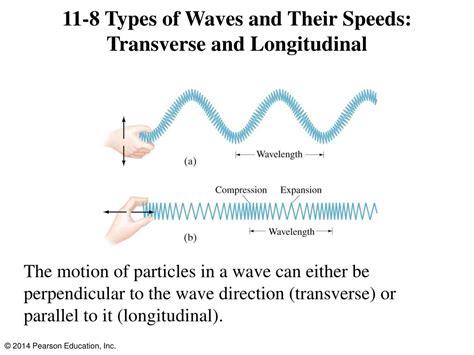 characteristics  longitudinal  transverse waves class