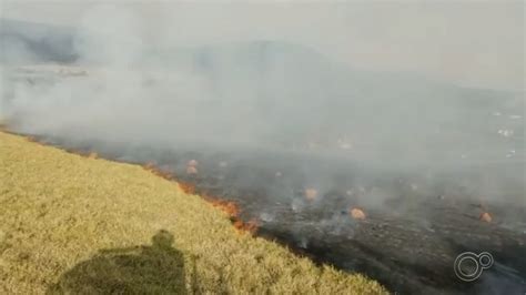 Fogo Atinge Rea De Mato S Margens De Rodovia De Itupeva Sorocaba E