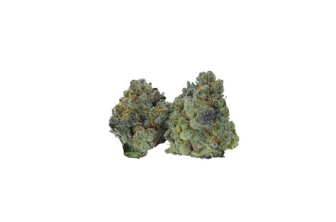 Buy All Gas OG Smalls Oz Special Canada Bliss Herbals