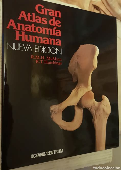 gran atlas de anatomía humana nueva edicion Comprar Libros de