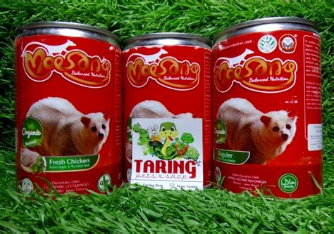 Musang Makan Apa Soakploaty
