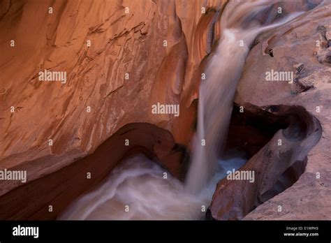 Water Flowing Through Canyon Coyote Gulch Grandstaircase Escalante National Monument Utah