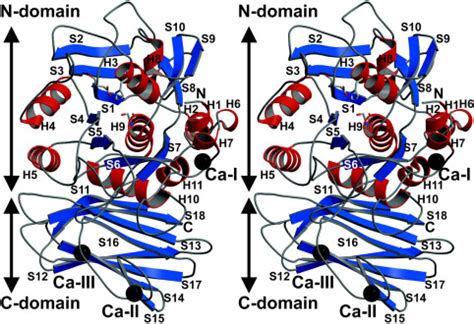 The Crystal Structure Of An Oxidatively Stable Subtilisin Like Alkaline