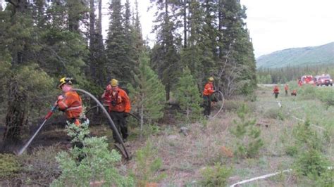 Rain dampens Yukon forest fires | CBC News