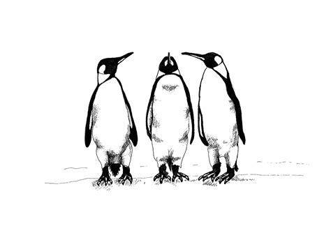Prints – Penguin Art for Conservation