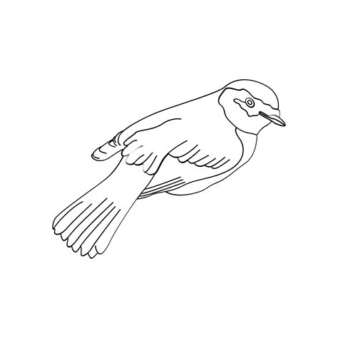 Bird Outline Vector For Coloring Book And Tattoo Design Bird Line Art