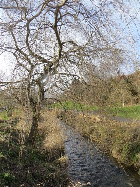 Braidburn Valley Park Edinburgh Feb Alljengi Flickr