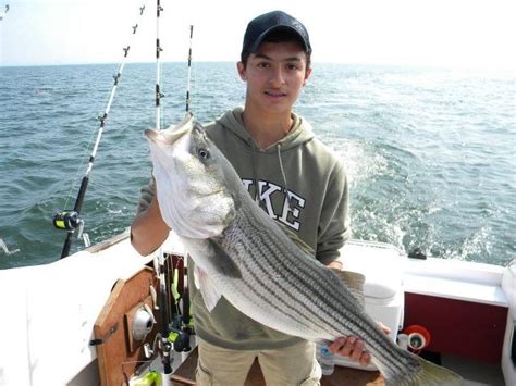 Maryland’s Chesapeake Bay Striped Bass Season Opens April 16