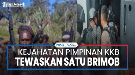 Jejak Kejahatan Pimpinan KKB Papua Di Yahukimo Bunuh Anggota Brimob