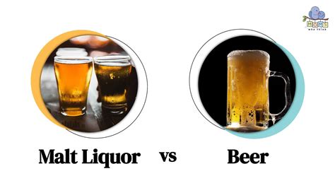 Malt Liquor Vs Beer 4 Key Differences Including Taste And Abv