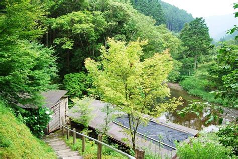 3泊4日のおすすめ高知観光3：四万十川の定番観光＆穴場を満喫！ いこレポ