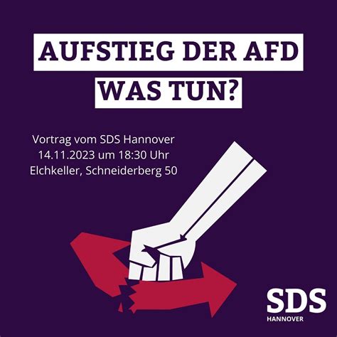 Aufstieg Der AfD Was Tun RAuszeit