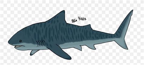 Tiger Shark Drawing Cartoon, PNG, 840x381px, Tiger Shark, Animal Figure ...