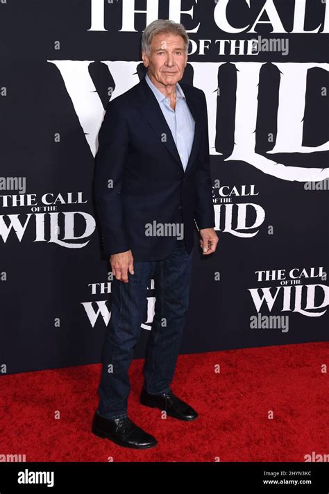 Harrison Ford attending the premiere of The Call of the Wild in Los ...