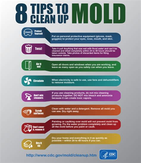 Mold Cleanup - Springdale, Tulsa, Fort Smith | Vanguard Cleaning ...