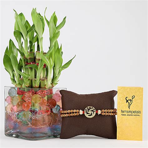 Buy Send 2 Layer Lucky Bamboo Swastik Rudraksh Rakhi Online FNP