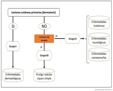 Prurito En Dermatología Generalidades Y Pruritógenos Parte 1 Actas