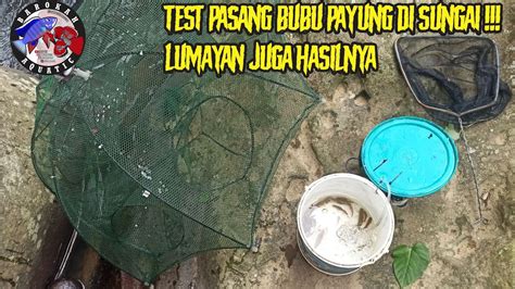 Coba Pasang Bubu Payung Di Sungai Yang Jernih Fishing Trap Youtube