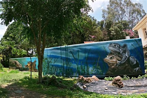 Las Defensoras De La Vida Que Se Extingue En El Lago Titicaca