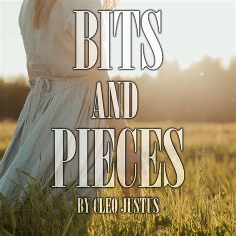 Bits And Pieces Audiobook On Spotify