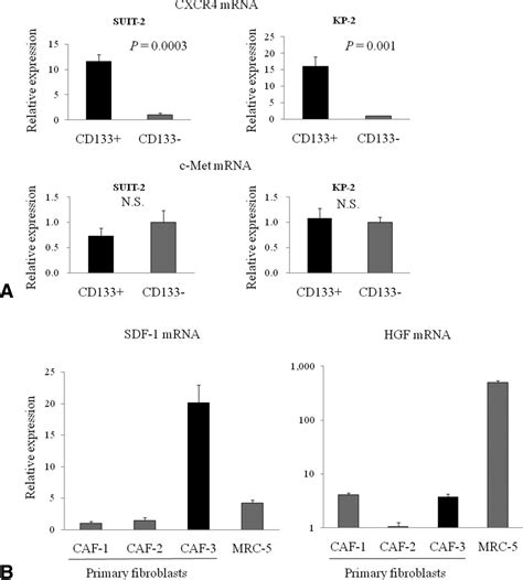 Enhanced Cell Migration And Invasion Of Cd133 Pancreatic Cancer Cells