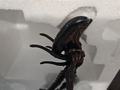 Eaglemoss Alien Resurrection Swimming Xenomorph Action Figure New Ebay