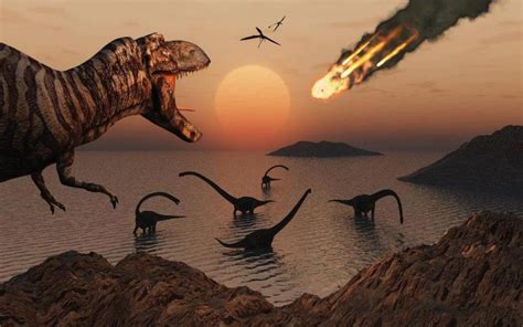 How Did The Dinosaurs Become Extinct | World Top Updates