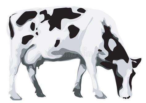 Cow Eating Grass Clipart Black