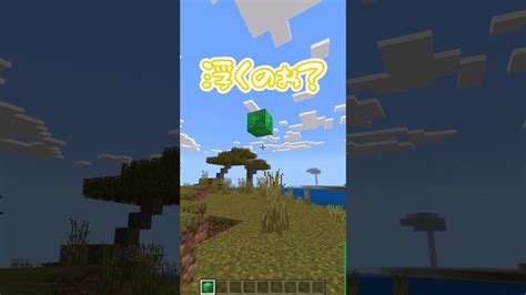 【マイクラの不思議】マイクラのおかしな事シリーズ！！浮かぶブロック編！！！shorts Minecraft マインクラフト マイクラ