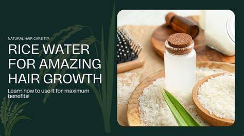 How To Use Rice Water For Hair Growth Biotin Xtreme Hair Care