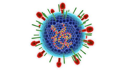 呼吸道合胞病毒RSV抗体Nirsevimab试验取得积极结果 MedSci cn