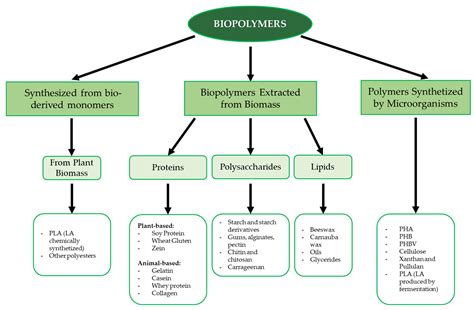 Foods | Free Full-Text | Strategies for Exploiting Milk Protein ...
