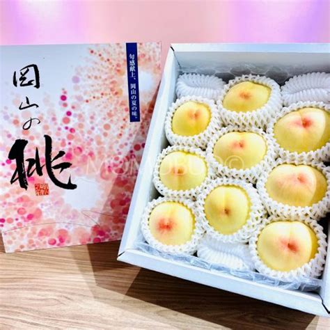 Japanese Sakigake Hakutou White Peach Gift Box Kg Momobud