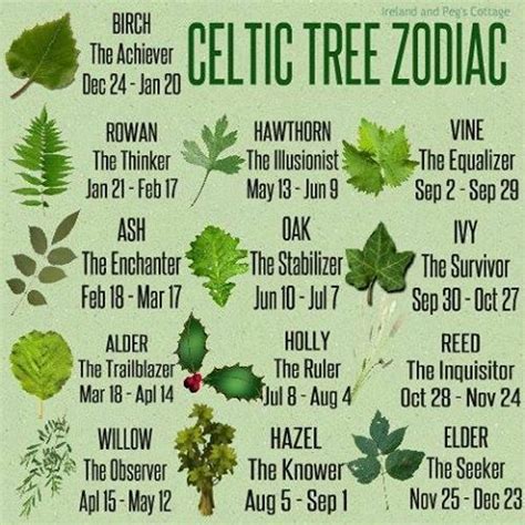 The Celtic Tree Zodiac Pictures, Photos, and Images for Facebook ...