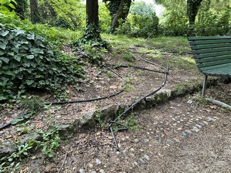 Cremona Sera Giardini Di Piazza Roma Uno Scandalo Rifiuti Erba