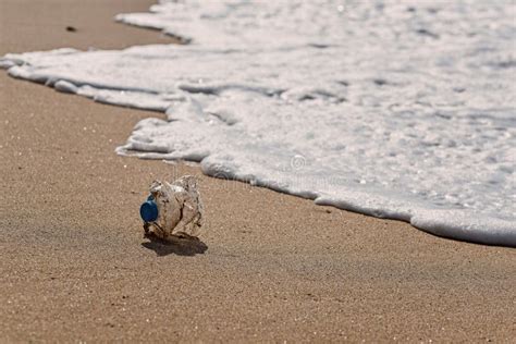 Una Botella De Pl Stico Se Encuentra En La Playa De Arena Y Contamina