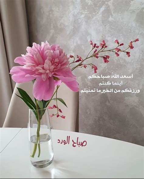 Pin by عمرو المكاوى on صباح الخير in 2024 Good morning flowers Good