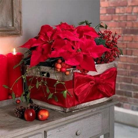 Decorate Christmas With 45 Ideas Poinsettias The Holidays Most Loved